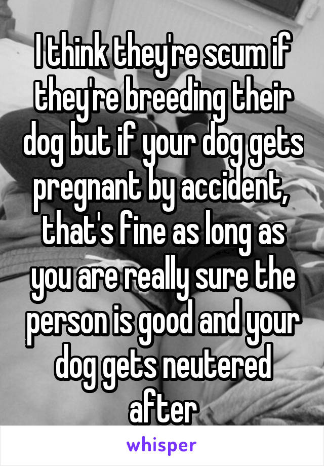 I think they're scum if they're breeding their dog but if your dog gets pregnant by accident,  that's fine as long as you are really sure the person is good and your dog gets neutered after
