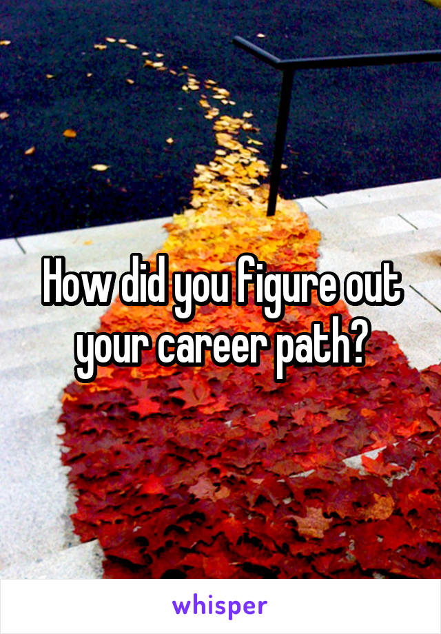 How did you figure out your career path?