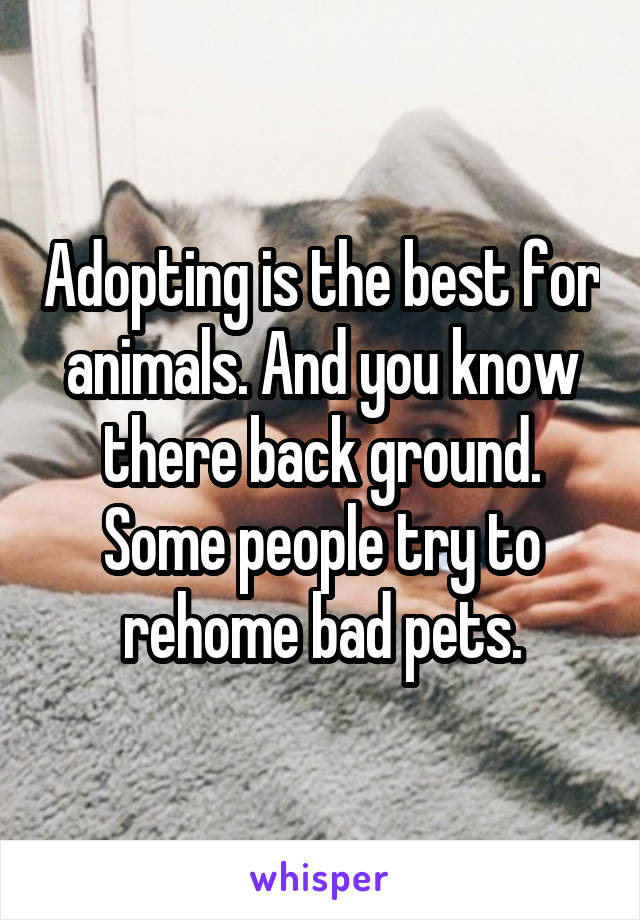 Adopting is the best for animals. And you know there back ground. Some people try to rehome bad pets.