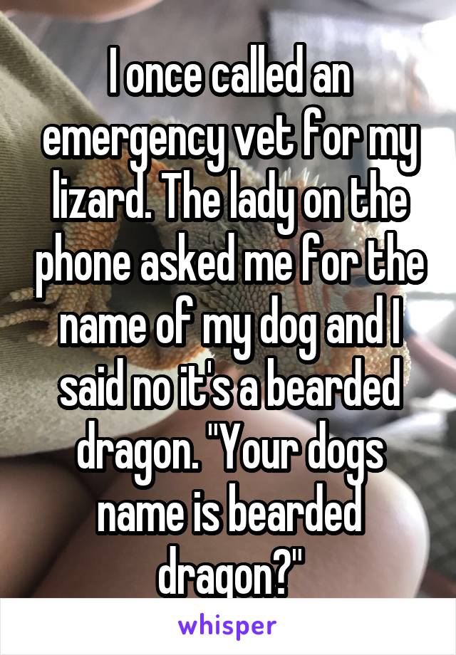 I once called an emergency vet for my lizard. The lady on the phone asked me for the name of my dog and I said no it's a bearded dragon. "Your dogs name is bearded dragon?"