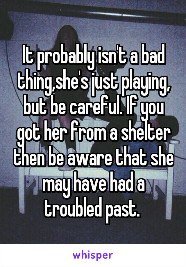 It probably isn't a bad thing,she's just playing, but be careful. If you got her from a shelter then be aware that she may have had a troubled past. 