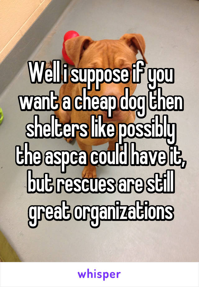 Well i suppose if you want a cheap dog then shelters like possibly the aspca could have it, but rescues are still great organizations