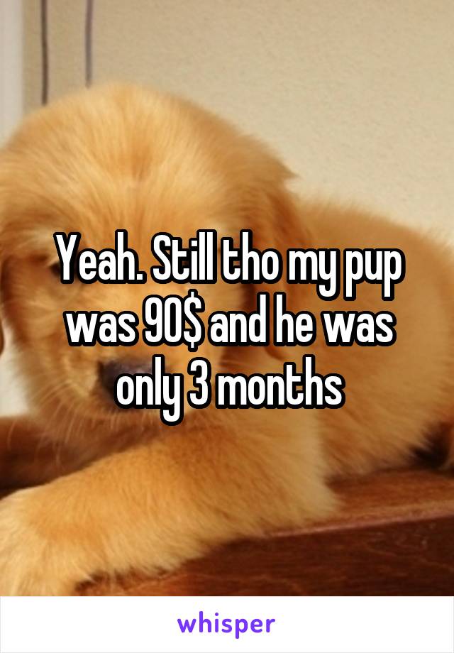 Yeah. Still tho my pup was 90$ and he was only 3 months