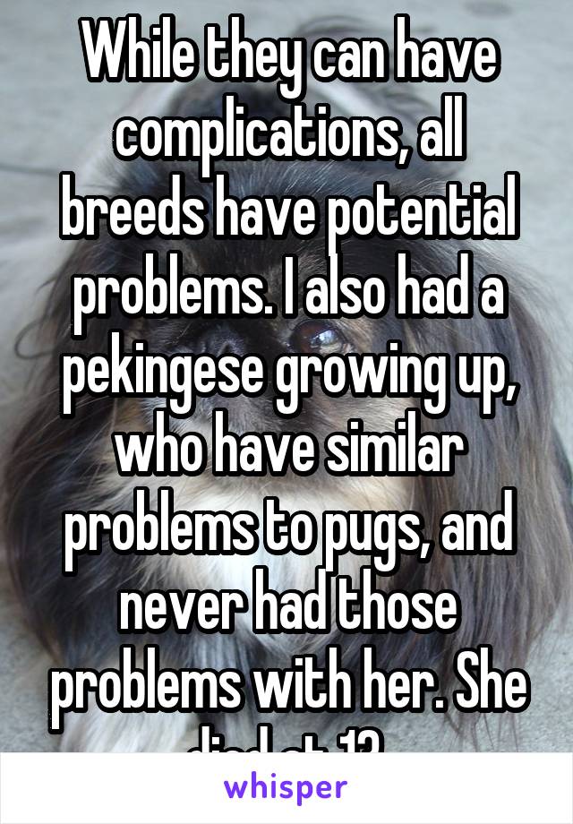 While they can have complications, all breeds have potential problems. I also had a pekingese growing up, who have similar problems to pugs, and never had those problems with her. She died at 13.