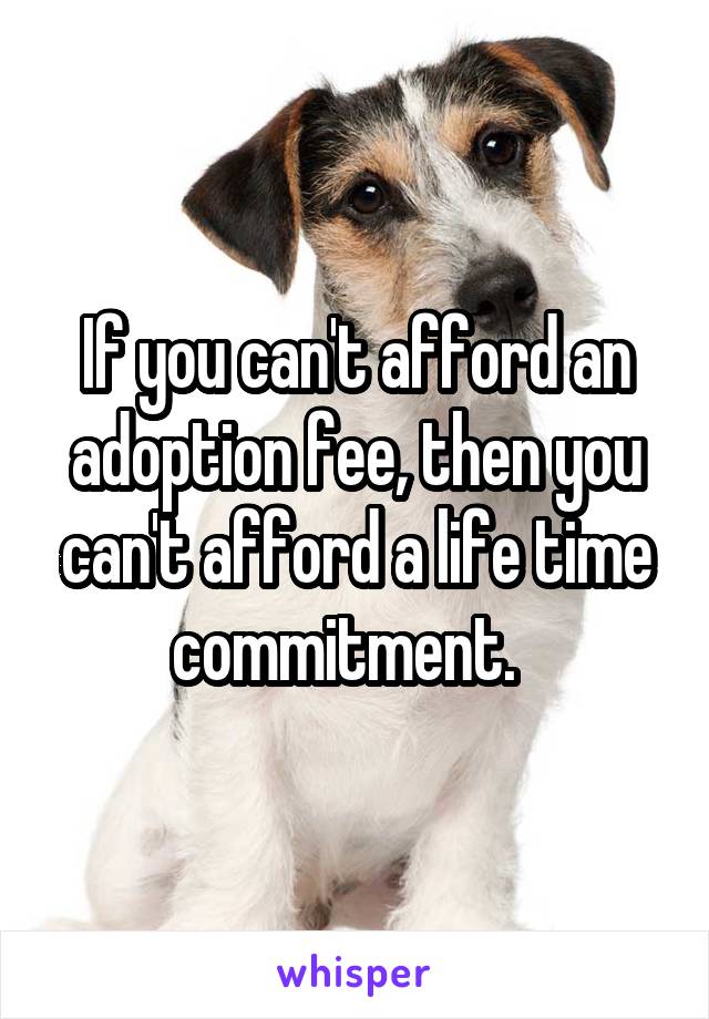 If you can't afford an adoption fee, then you can't afford a life time commitment.  