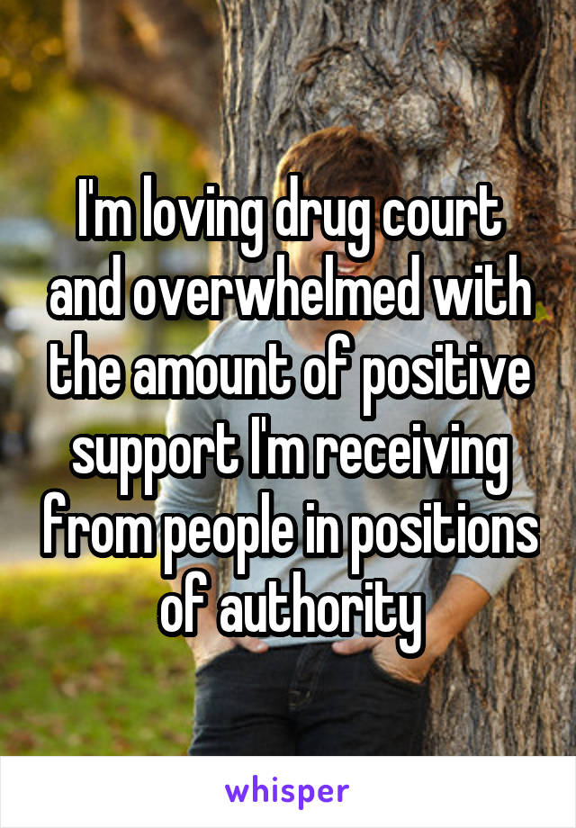 I'm loving drug court and overwhelmed with the amount of positive support I'm receiving from people in positions of authority