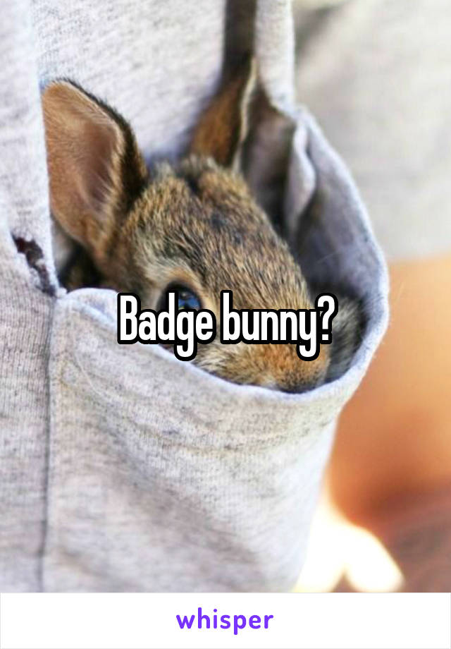 Badge bunny?