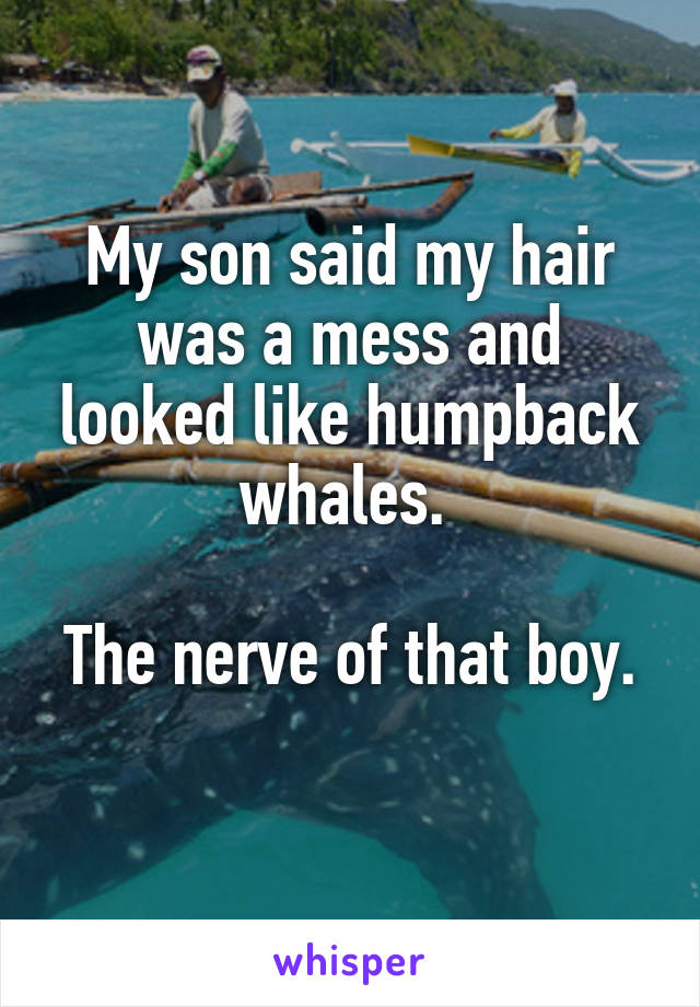 My son said my hair was a mess and looked like humpback whales. 

The nerve of that boy. 