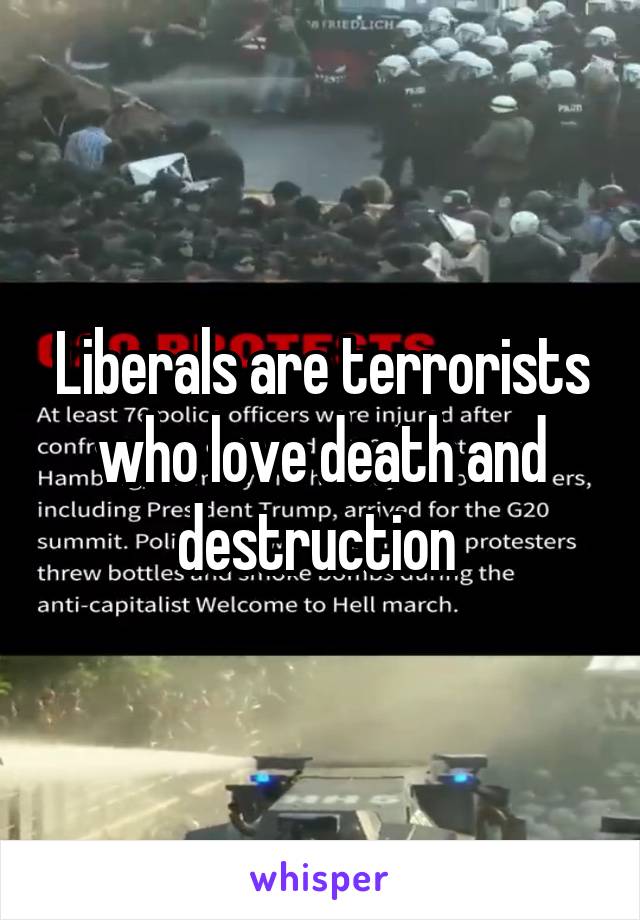 Liberals are terrorists who love death and destruction 