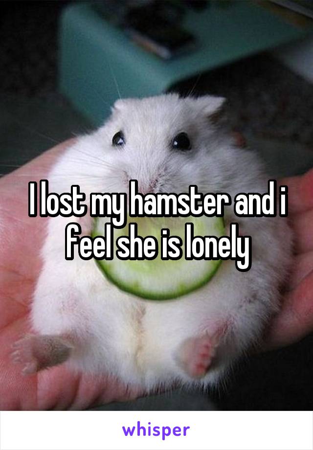 I lost my hamster and i feel she is lonely