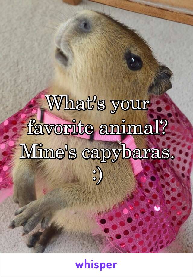 What's your favorite animal?
Mine's capybaras. :)