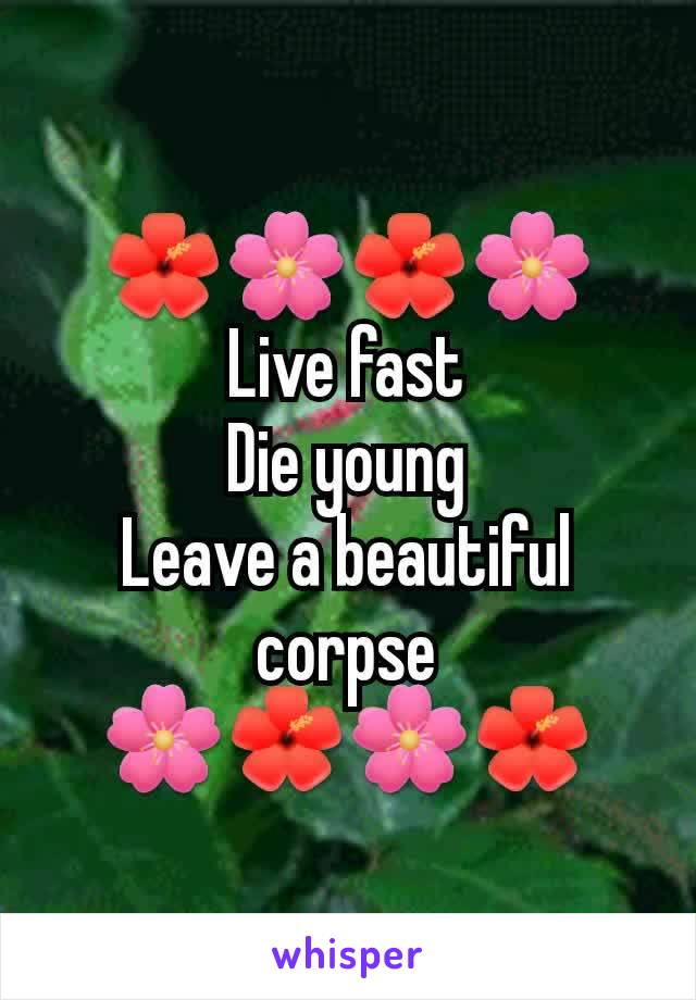 🌺🌸🌺🌸
Live fast
Die young
Leave a beautiful corpse
🌸🌺🌸🌺