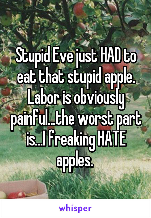 Stupid Eve just HAD to eat that stupid apple. Labor is obviously painful...the worst part is...I freaking HATE apples. 