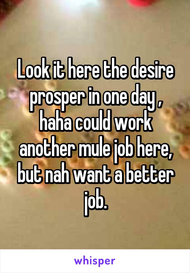 Look it here the desire prosper in one day , haha could work another mule job here, but nah want a better job.