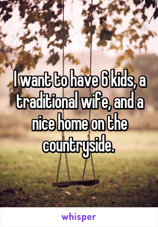 I want to have 6 kids, a traditional wife, and a nice home on the countryside. 