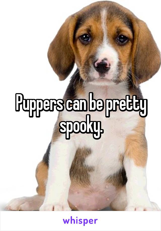 Puppers can be pretty spooky.