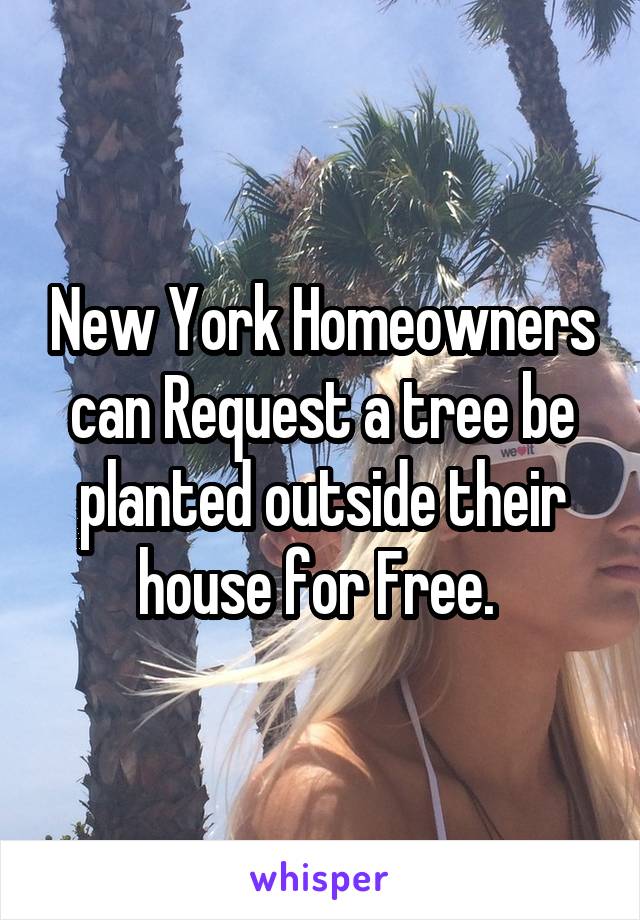 New York Homeowners can Request a tree be planted outside their house for Free. 