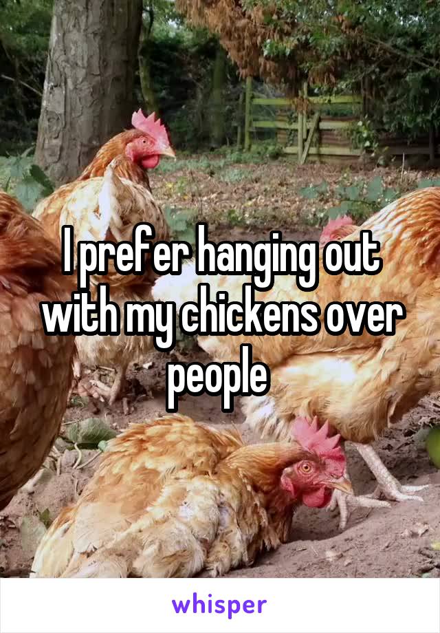 I prefer hanging out with my chickens over people 