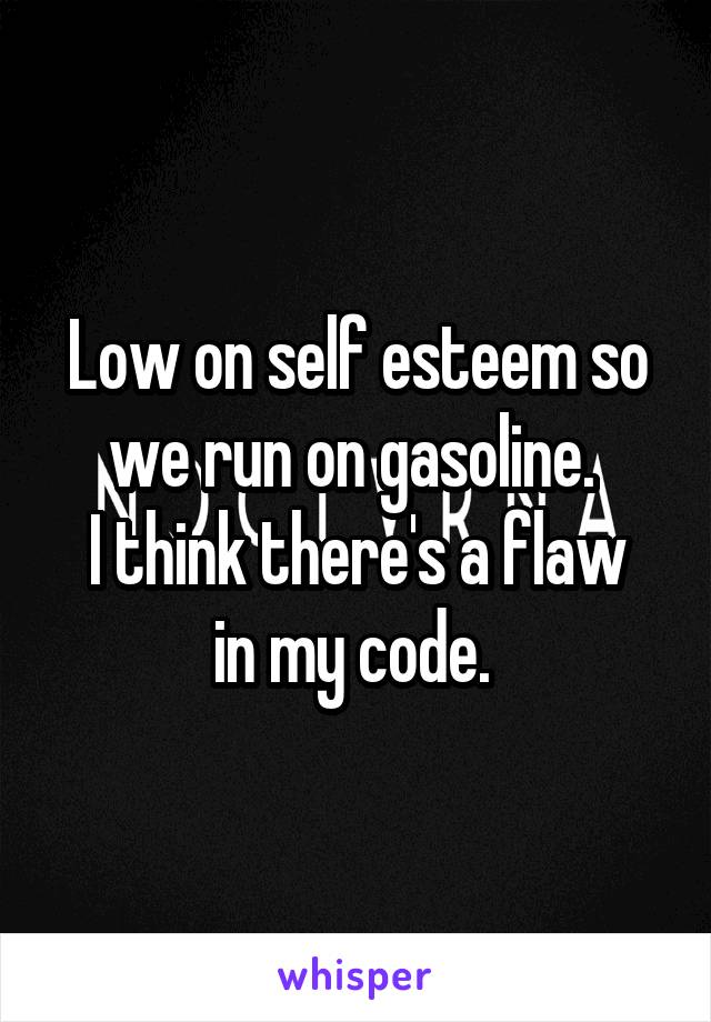 Low on self esteem so we run on gasoline. 
I think there's a flaw in my code. 