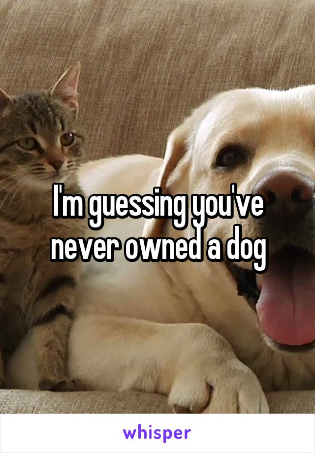 I'm guessing you've never owned a dog