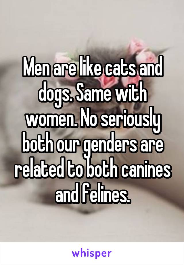 Men are like cats and dogs. Same with women. No seriously both our genders are related to both canines and felines.