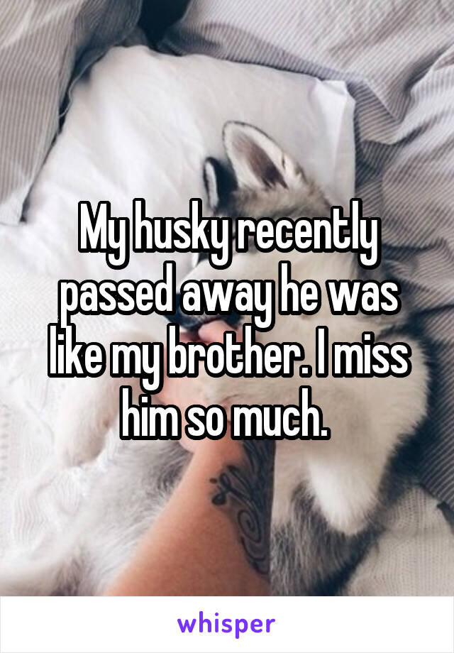 My husky recently passed away he was like my brother. I miss him so much. 
