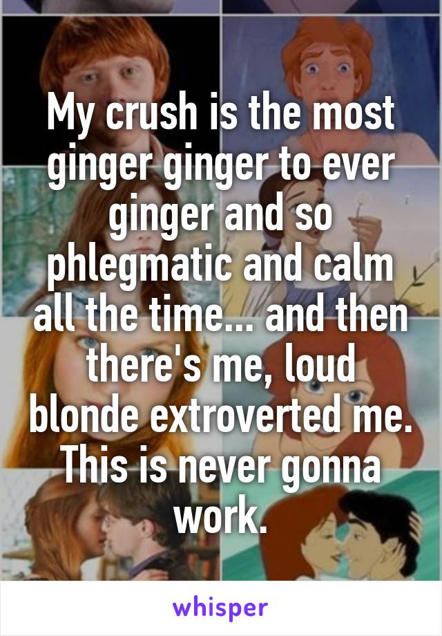 My crush is the most ginger ginger to ever ginger and so phlegmatic and calm all the time... and then there's me, loud blonde extroverted me. This is never gonna work.