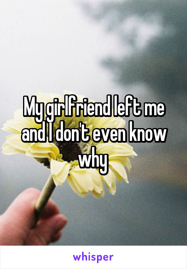 My girlfriend left me and I don't even know why 