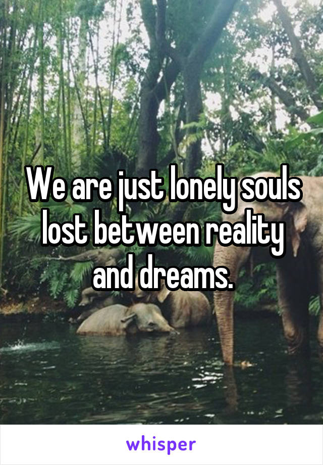 We are just lonely souls lost between reality and dreams.