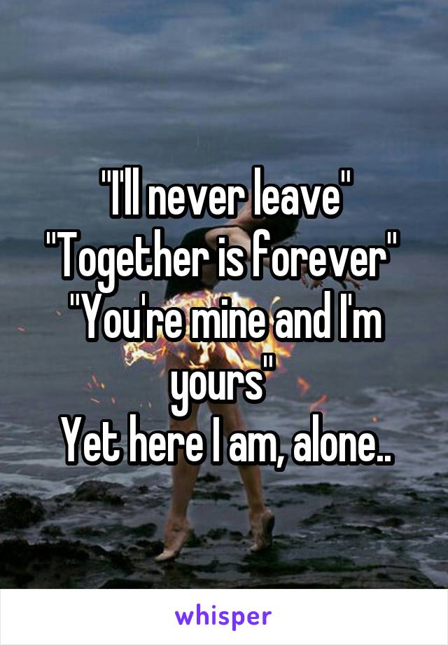 "I'll never leave"
"Together is forever" 
"You're mine and I'm yours" 
Yet here I am, alone..