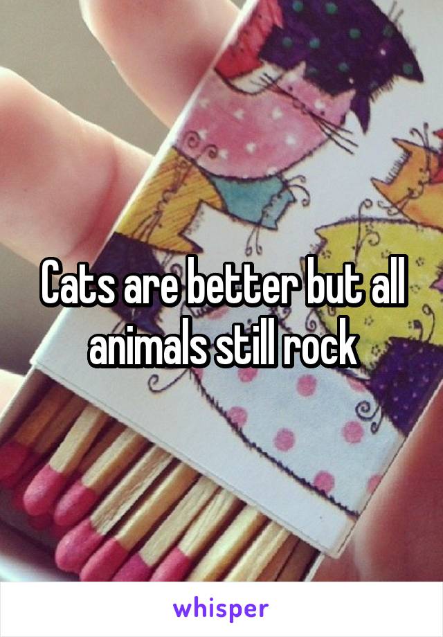 Cats are better but all animals still rock