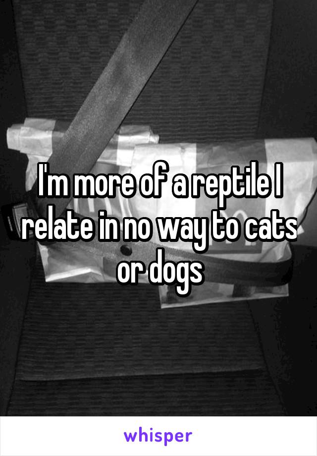 I'm more of a reptile I relate in no way to cats or dogs