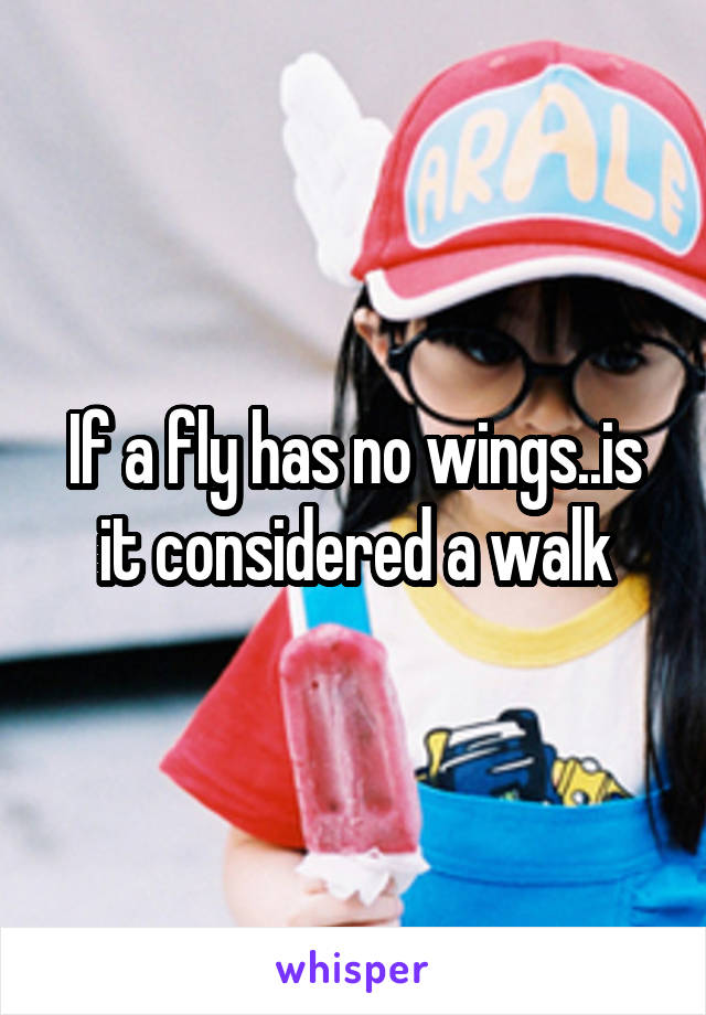 If a fly has no wings..is it considered a walk