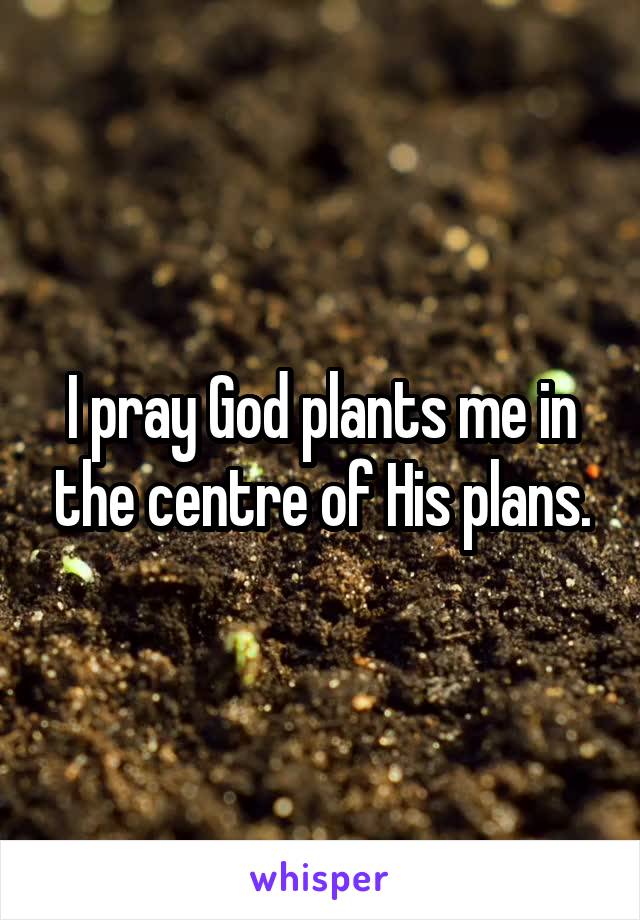 I pray God plants me in the centre of His plans.