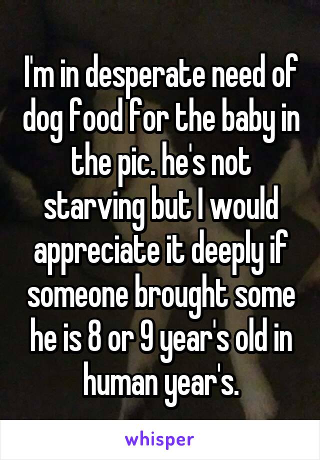 I'm in desperate need of dog food for the baby in the pic. he's not starving but I would appreciate it deeply if someone brought some he is 8 or 9 year's old in human year's.