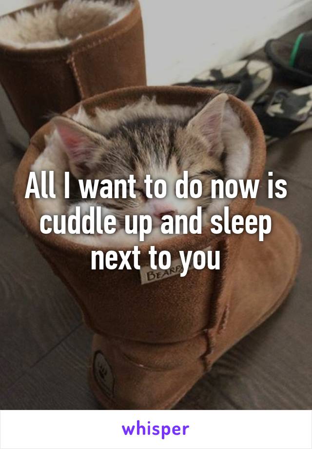 All I want to do now is cuddle up and sleep next to you
