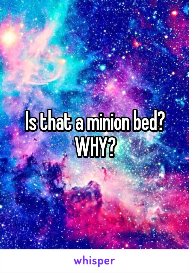Is that a minion bed? WHY?
