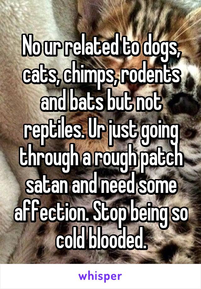 No ur related to dogs, cats, chimps, rodents and bats but not reptiles. Ur just going through a rough patch satan and need some affection. Stop being so cold blooded.