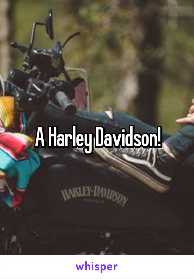 A Harley Davidson!