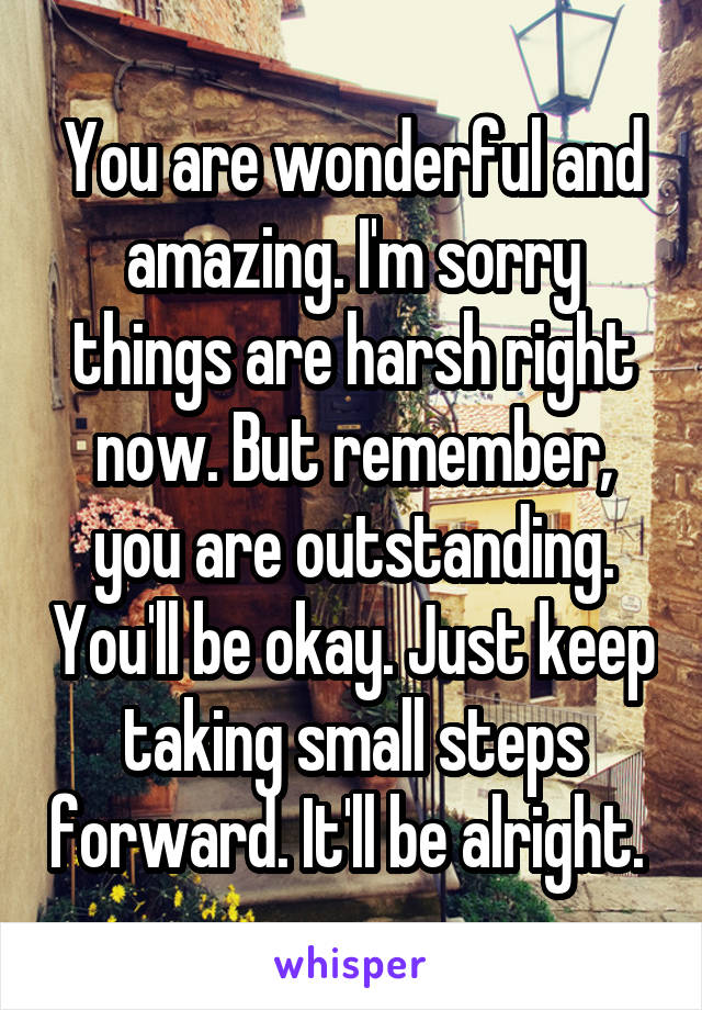You are wonderful and amazing. I'm sorry things are harsh right now. But remember, you are outstanding. You'll be okay. Just keep taking small steps forward. It'll be alright. 