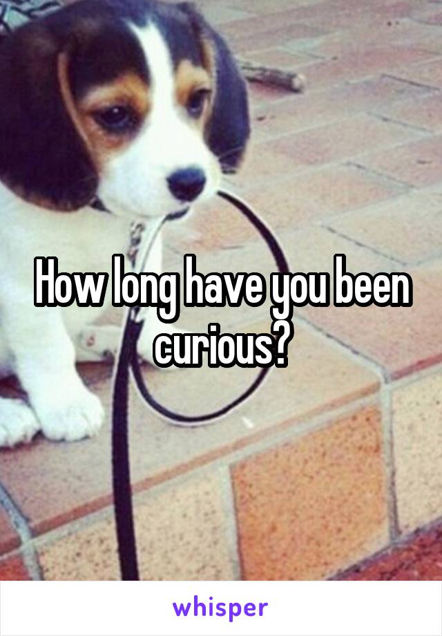 How long have you been curious?
