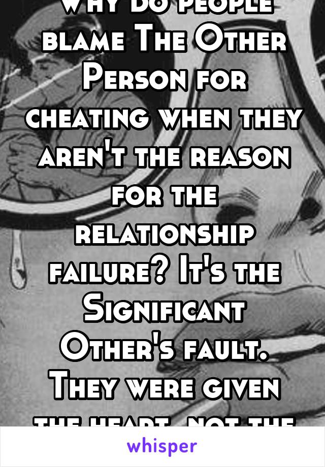 Why do people blame The Other Person for cheating when they aren't the reason for the relationship failure? It's the Significant Other's fault. They were given the heart, not the Other Person. 