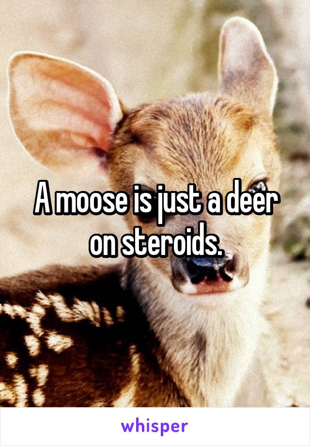 A moose is just a deer on steroids.