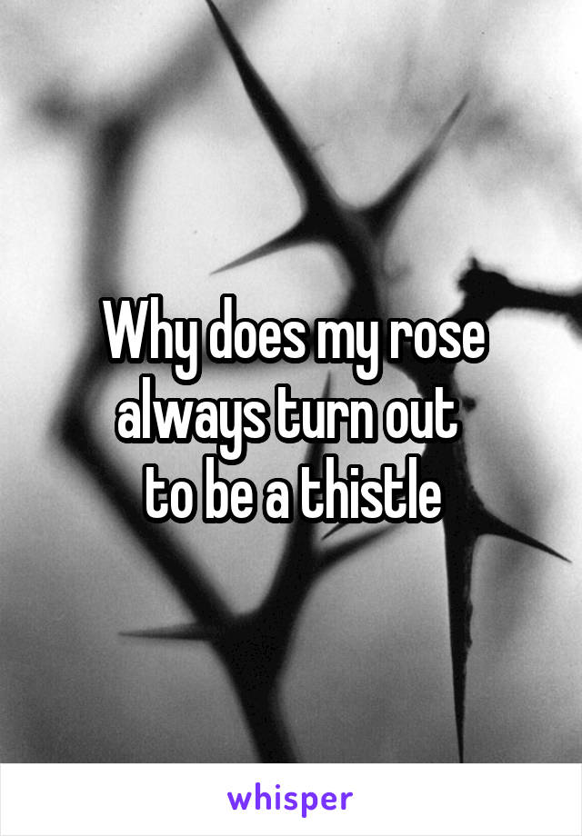 Why does my rose always turn out 
to be a thistle