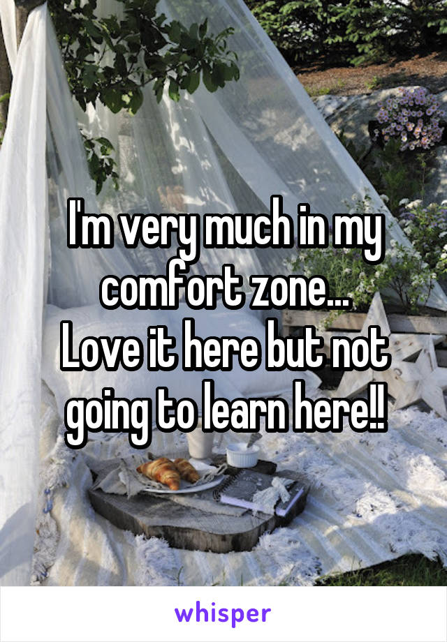 I'm very much in my comfort zone...
Love it here but not going to learn here!!