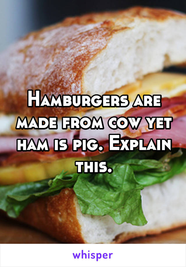 Hamburgers are made from cow yet ham is pig. Explain this.