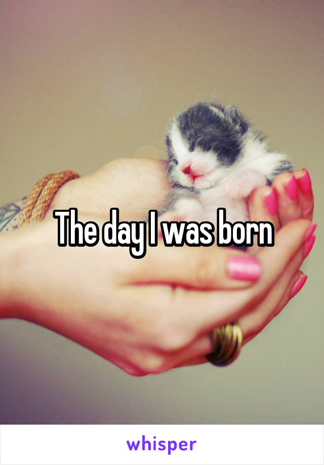 The day I was born