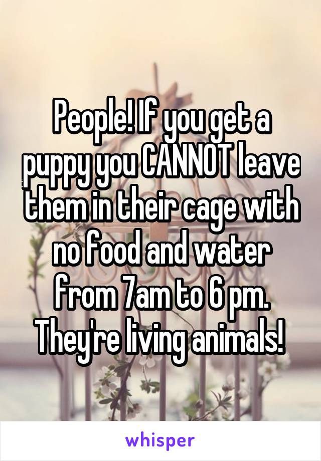 People! If you get a puppy you CANNOT leave them in their cage with no food and water from 7am to 6 pm. They're living animals! 