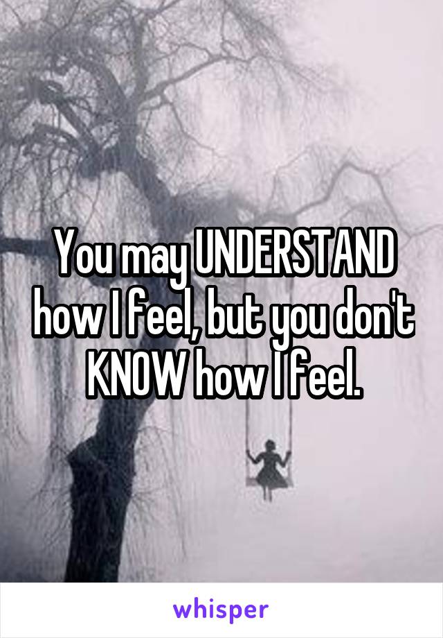 You may UNDERSTAND how I feel, but you don't KNOW how I feel.