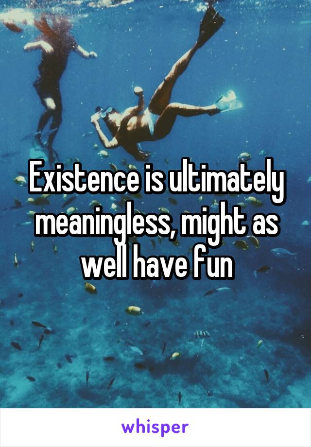 Existence is ultimately meaningless, might as well have fun